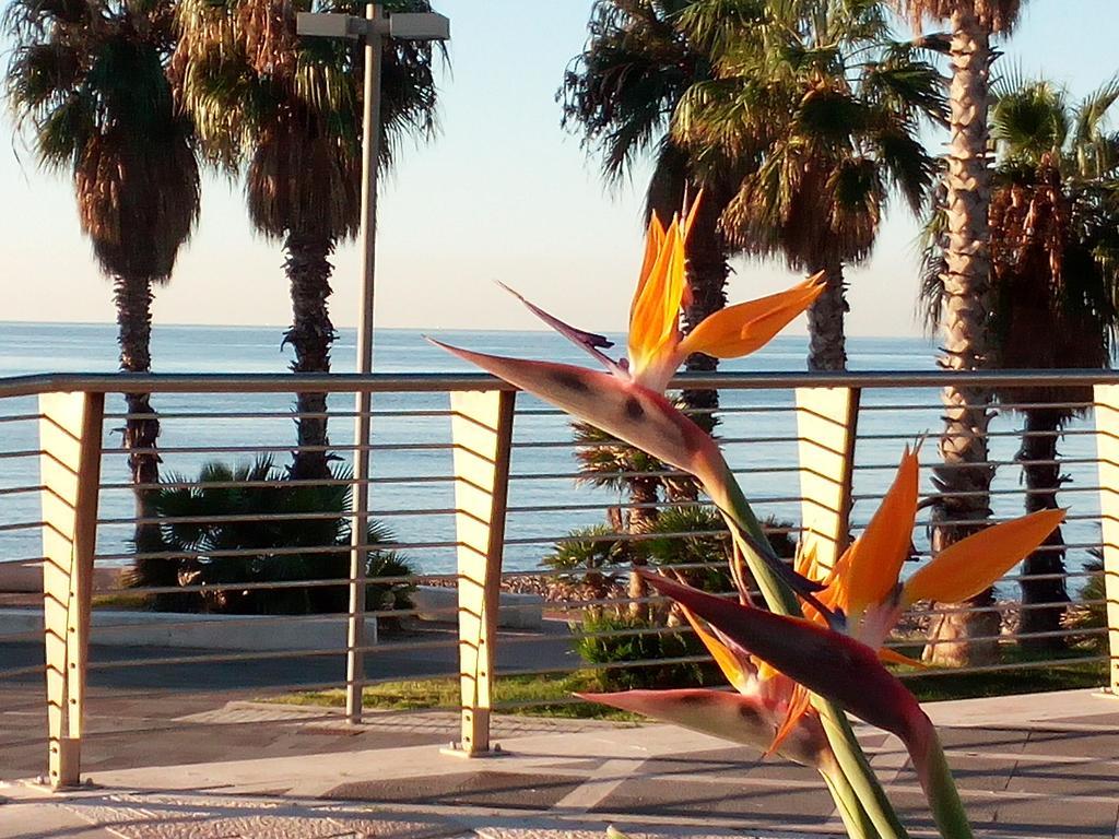 Residence Stendhal Guest House Civitavecchia Dış mekan fotoğraf